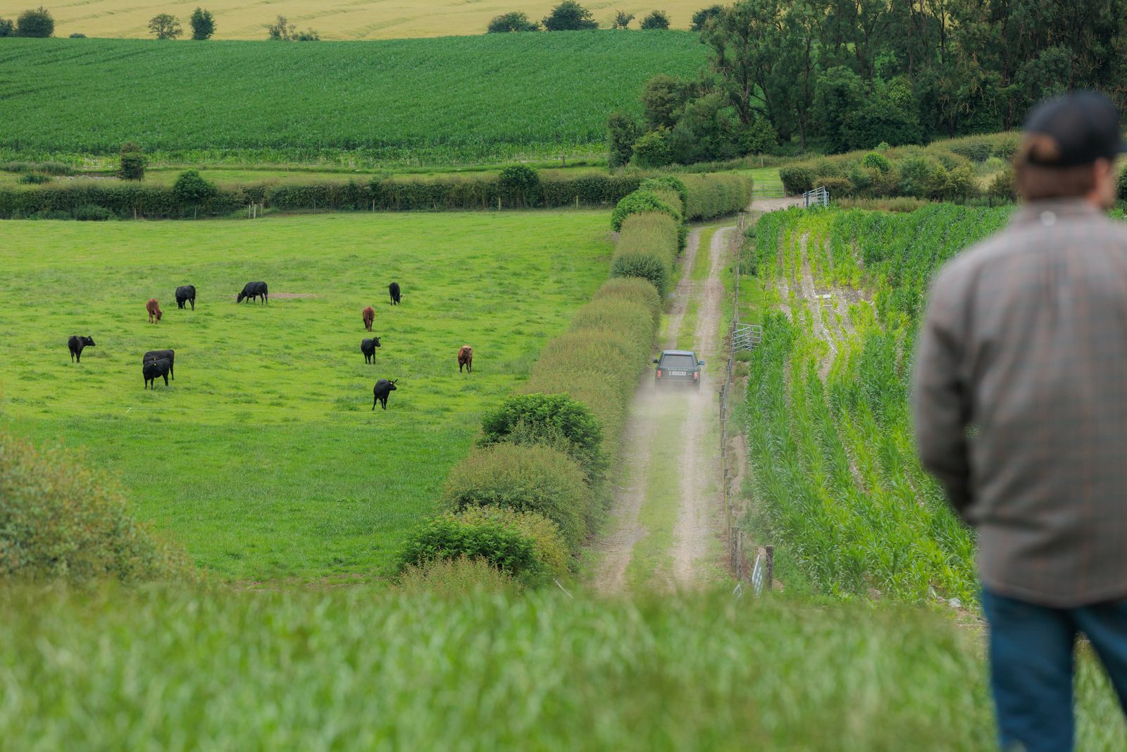 LUMA-Irland2025-allink_H8A7237