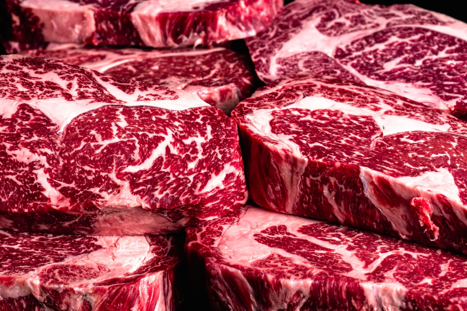 LUMA-US-Wagyu-WSC-2025-6109