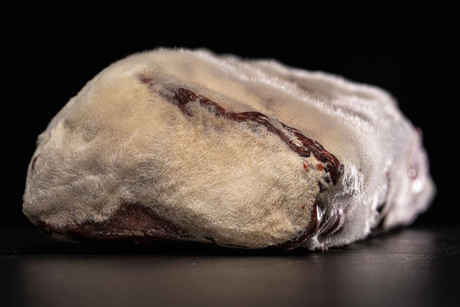 LUMA-US-prime-world-steak-award-010