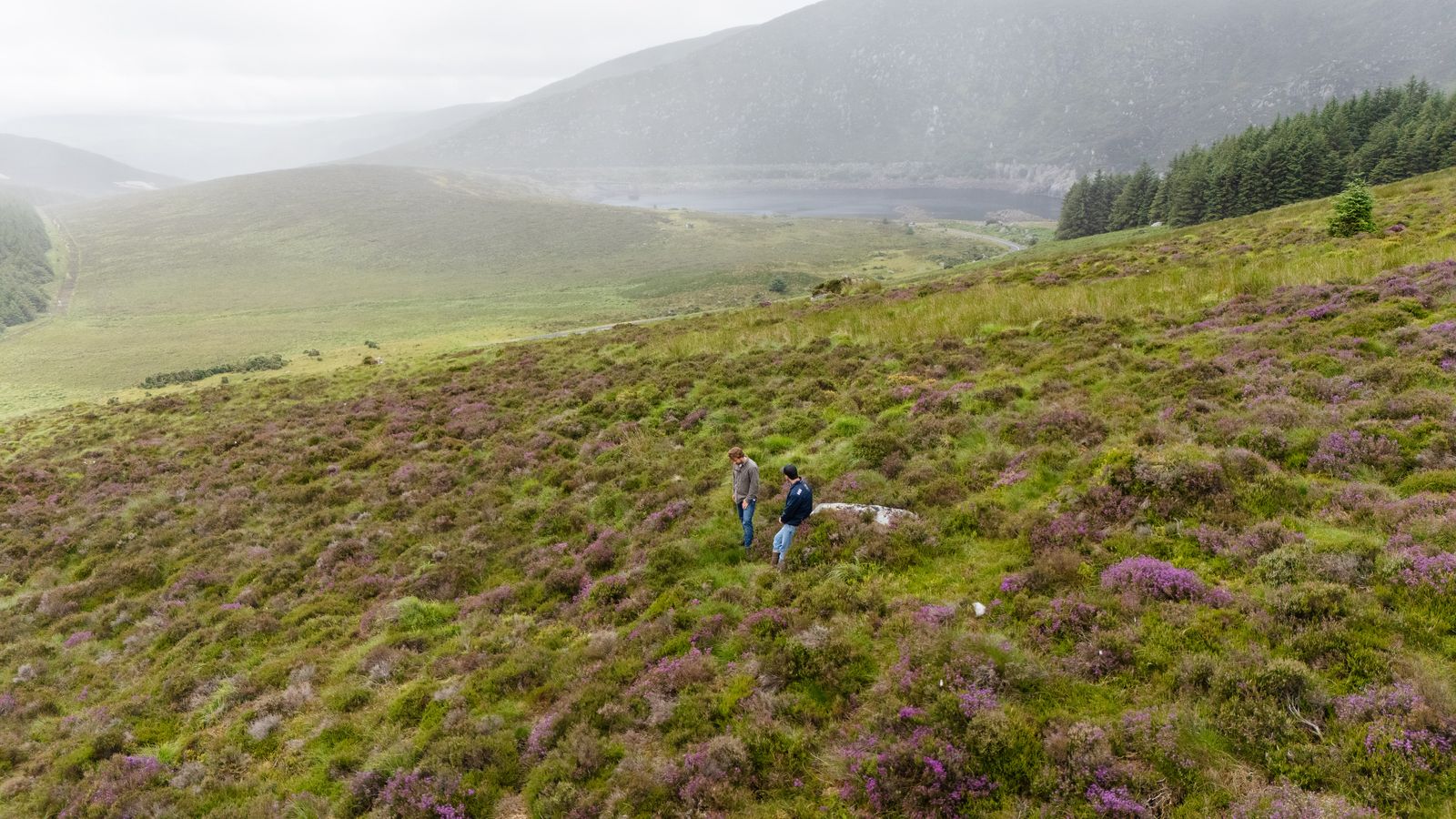 Luma-Irland-allinkDJI_20250630133446_0858_D