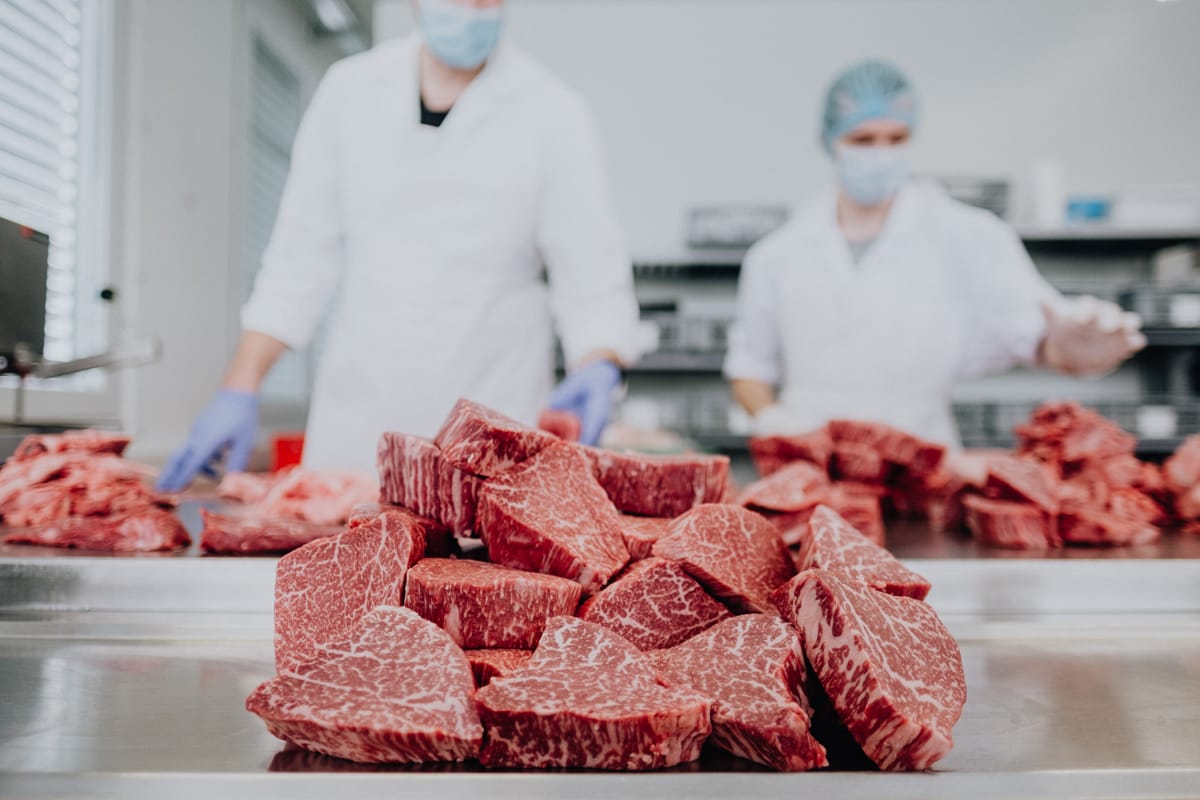 Wagyu-tenderloin-021-_low