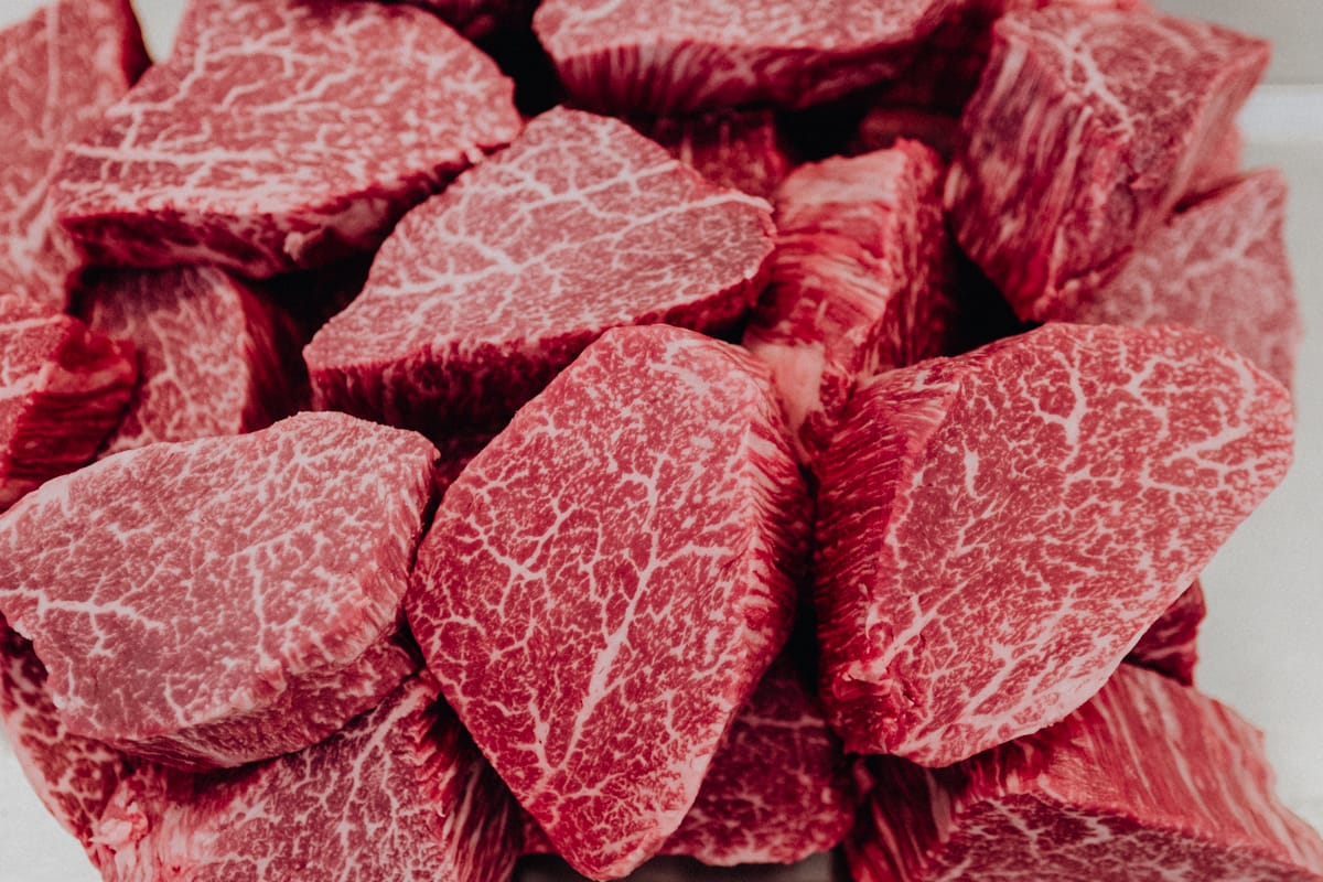 Wagyu-tenderloin-026-_low