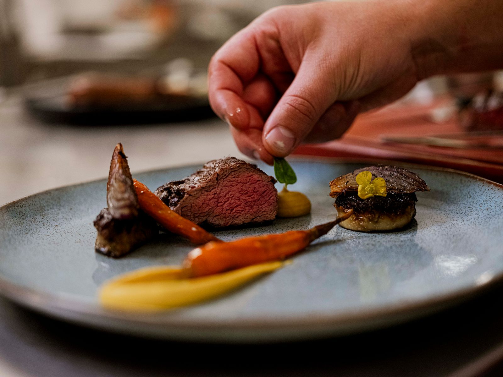 secret-cut-06.jpg__850x565_q85_crop_subsampling-2_upscale