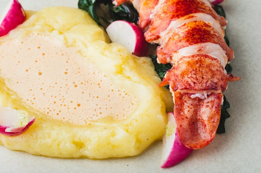 hummerschwanz-002_low.jpg__850x565_q85_crop_subsampling-2_upscale