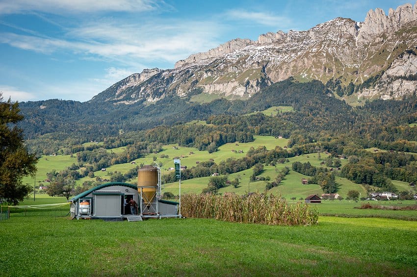 luma-geflugel-4.jpg__850x565_q85_crop_subsampling-2_upscale