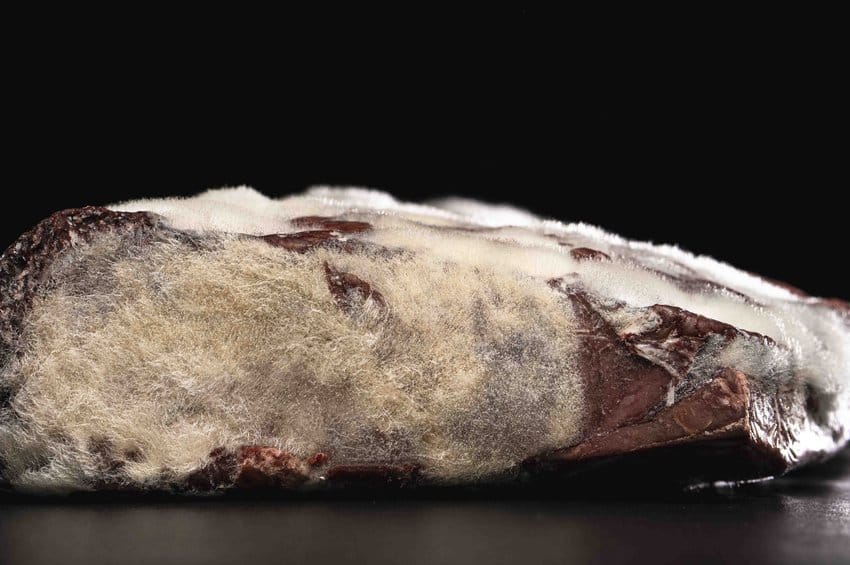 luma-us-prime-world-steak-award-054.jpg__850x565_q85_crop_subsampling-2_upscale