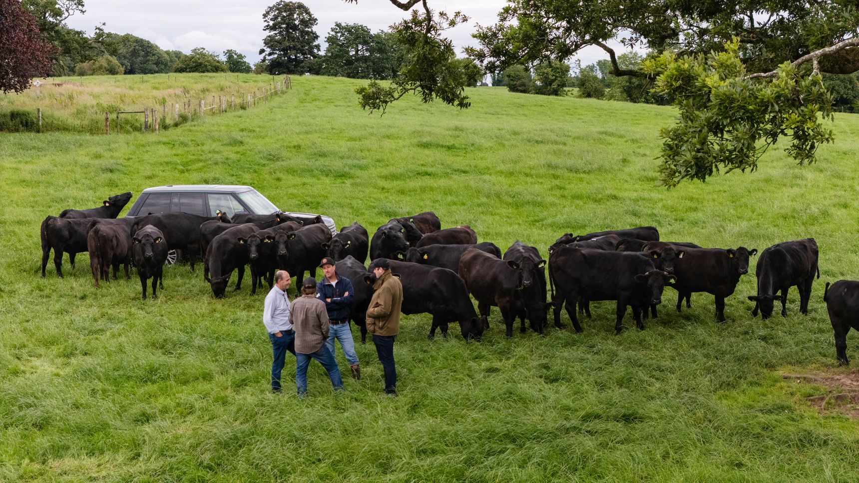 LUMA-Irland-allinkDJI_20250630184200_0984_D