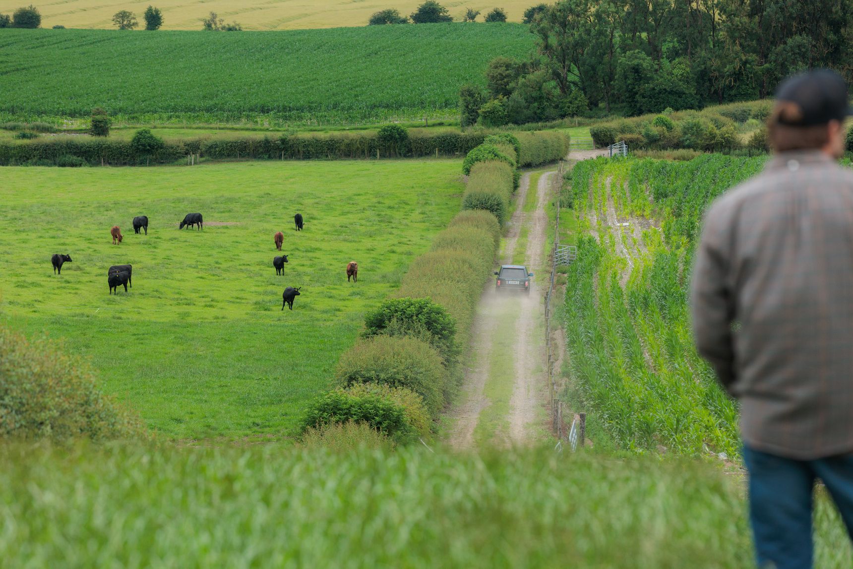 LUMA-Irland2025-allink_H8A7237