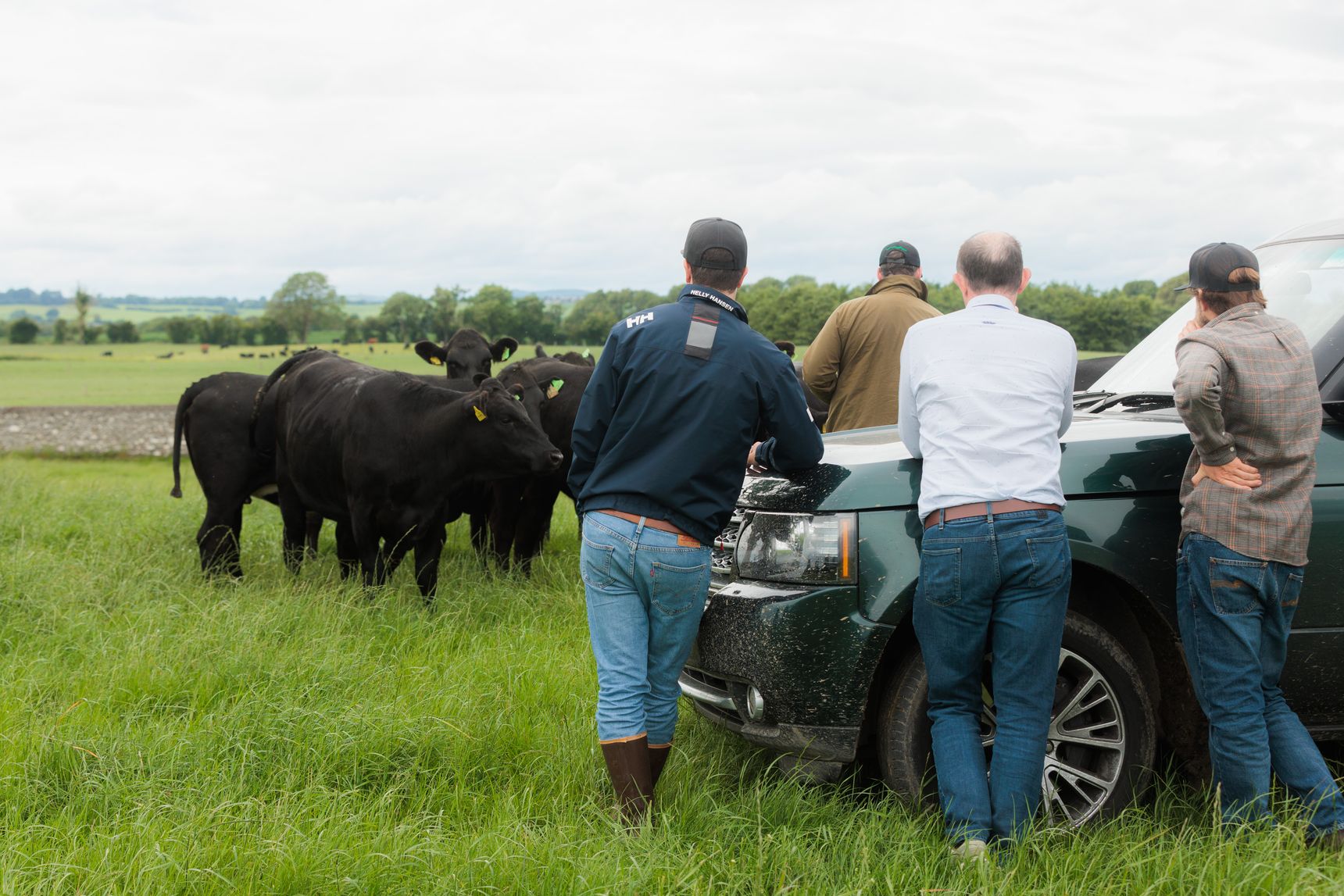 LUMA-Irland2025-allink_H8A7424 (1)