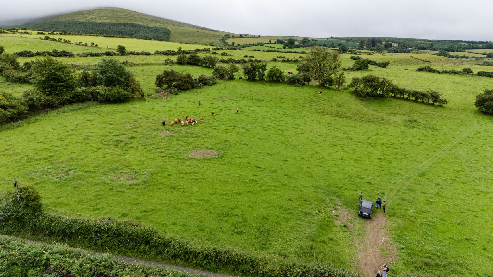 Luma-Irland-allinkDJI_20250630123353_0801_D