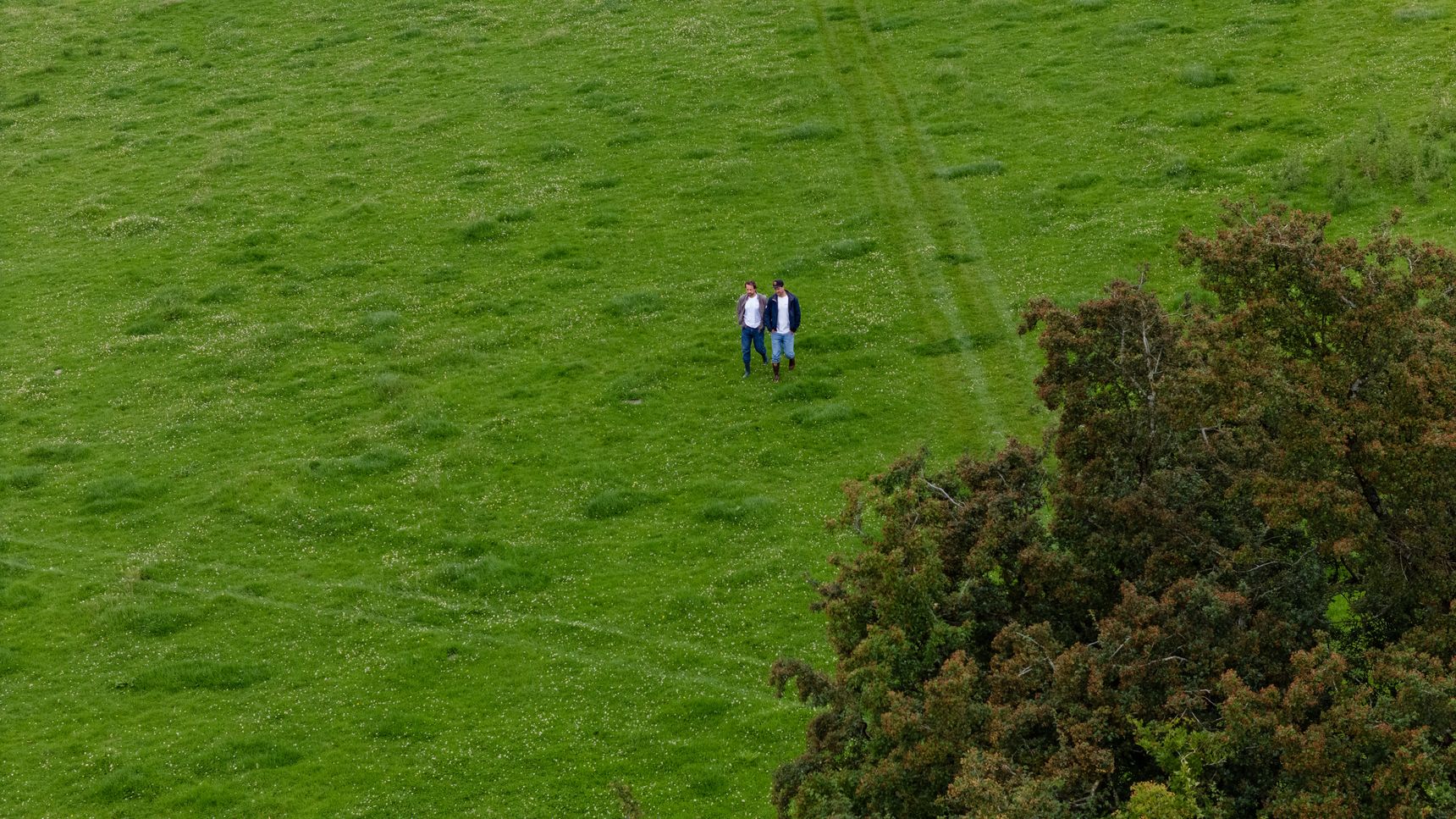 Luma-Irland-allinkDJI_20250630124004_0826_D