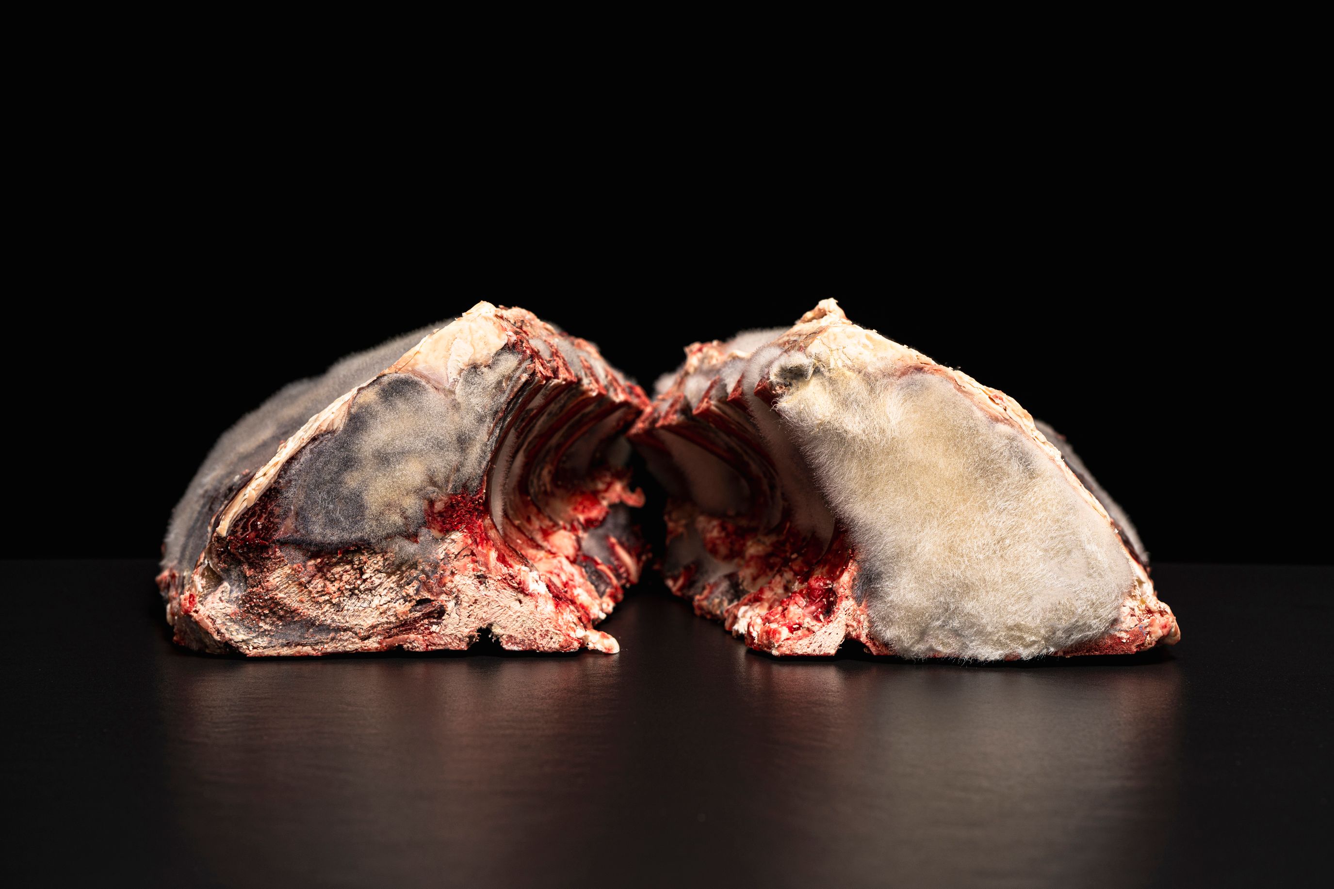 Start_23_luma_beef_swiss_category-Header-001