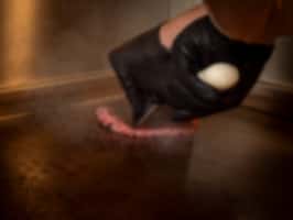 Action-Burger-2026-1035838