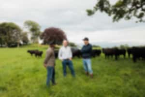 LUMA-Irland2025-allink_H8A7470 (1)