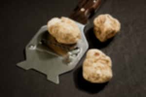 LUMA_Alba_truffel-001