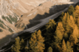 LUMA_Sleeknote_Wild_Kampagne_Animation-slow