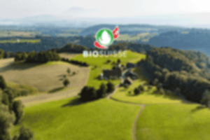 LUMA_Webseite_Image_Bio_Animation