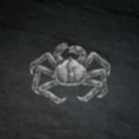 Fruits De Mer