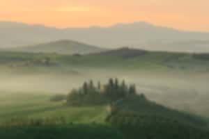 Bœuf italien