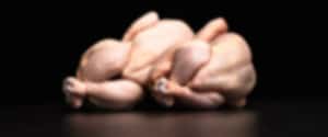 Poulet Ribelmais