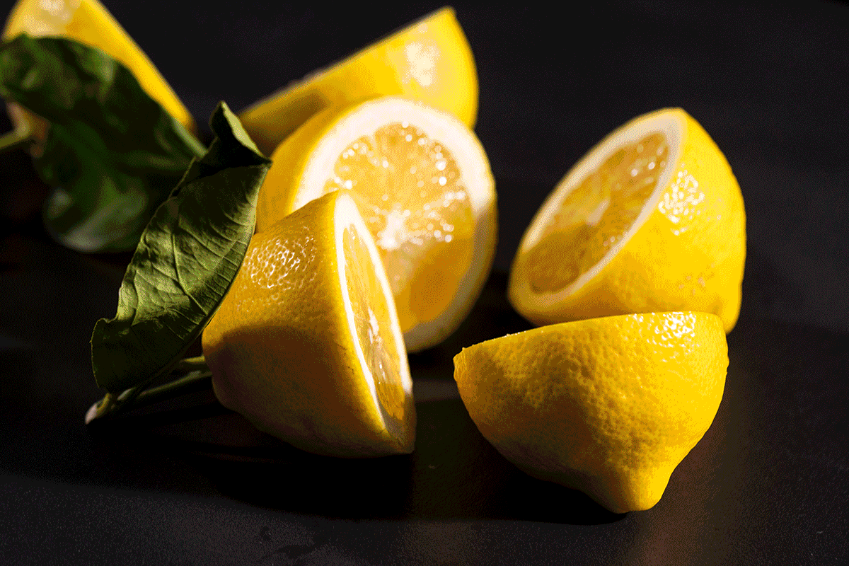 LUMA_Webseite_Seafood_Animation