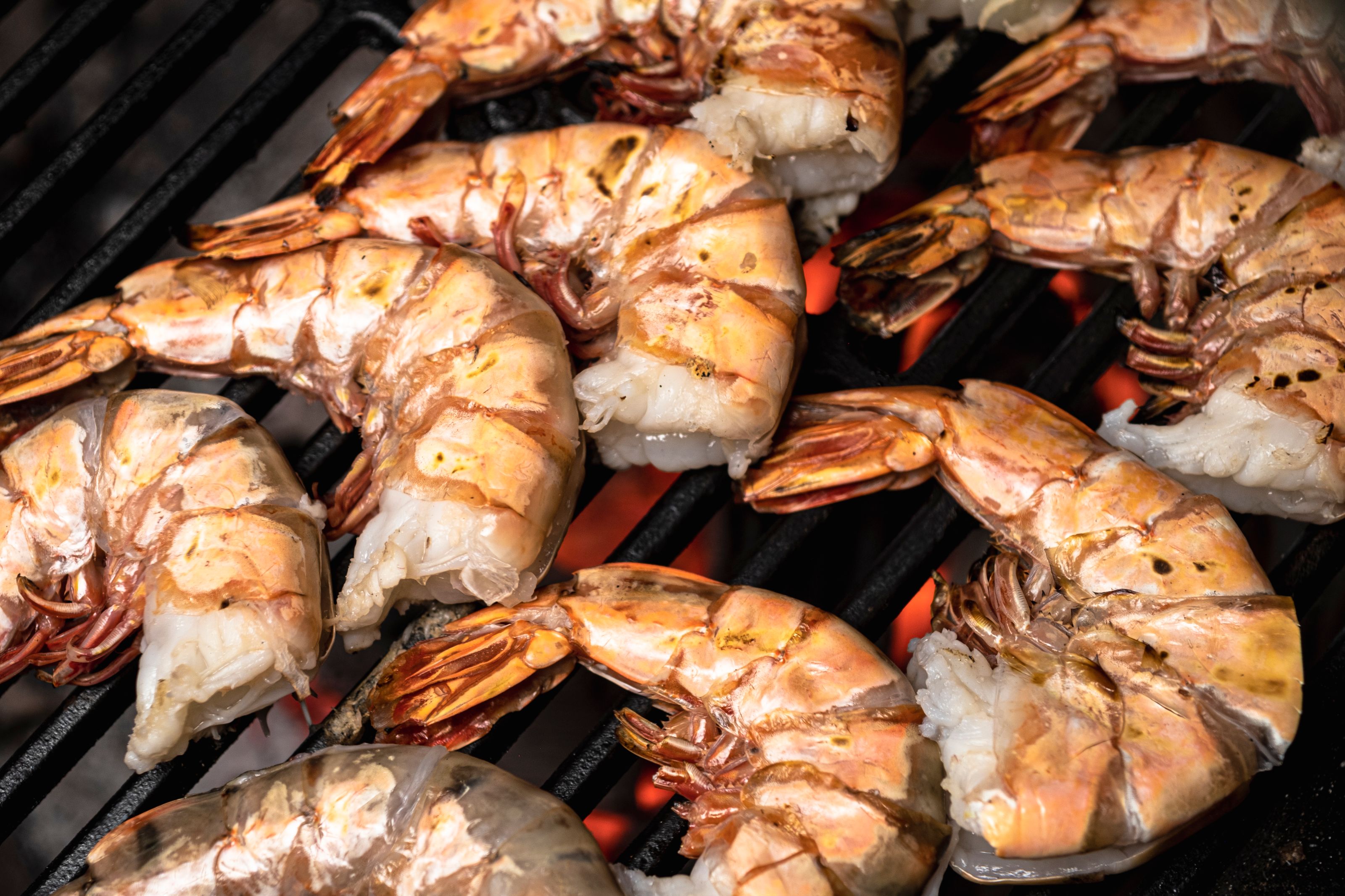 Start_23_crevetten-meeresfruechte_category-Header